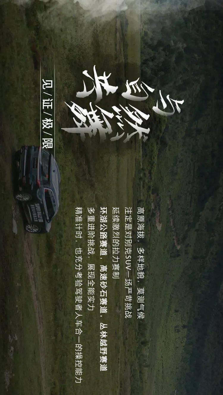 拯救精灵的土地10