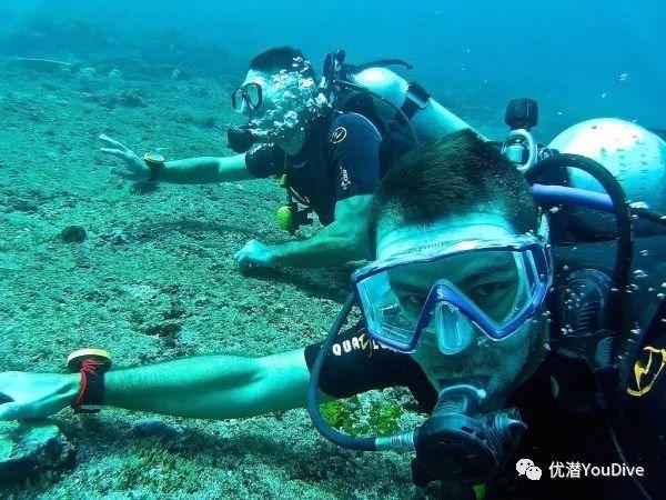 宣威市：忠诚履行职责使命 奋力推进宣威政法工作现代化